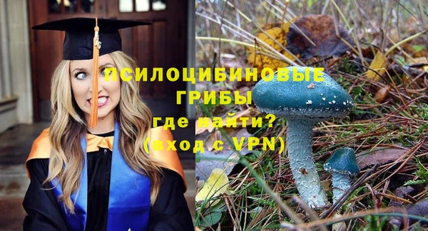 каннабис Верея