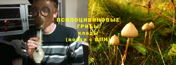 прущая мука Верхний Тагил