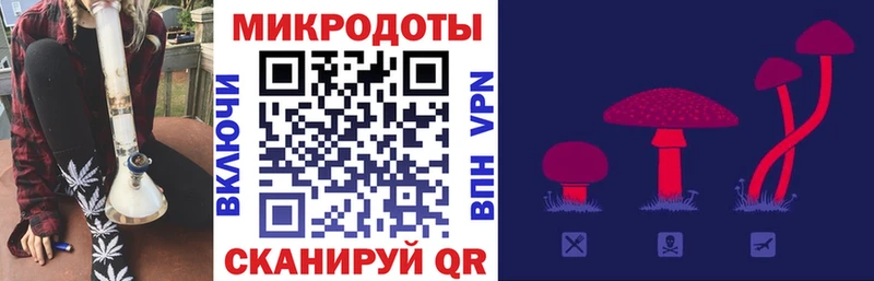 Псилоцибиновые грибы мицелий  Купить где  Туапсе 